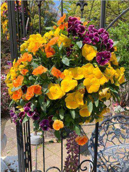 Lakeside wedding floral arch